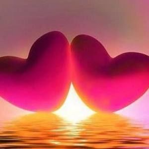 Meet your Posher, Sylvie